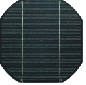Animation cellule